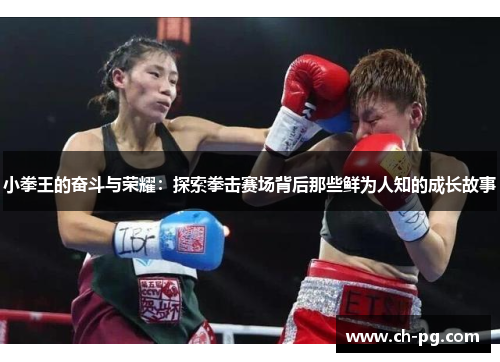 小拳王的奋斗与荣耀：探索拳击赛场背后那些鲜为人知的成长故事